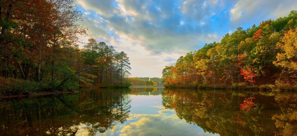Best MSW Programs in Alabama Best MSW Programs in Alabama
