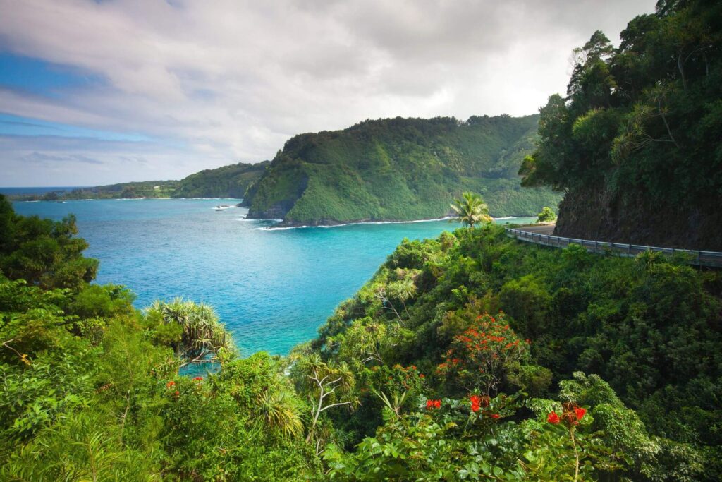 Best MSW Programs in Hawaii Best MSW Programs in Hawaii