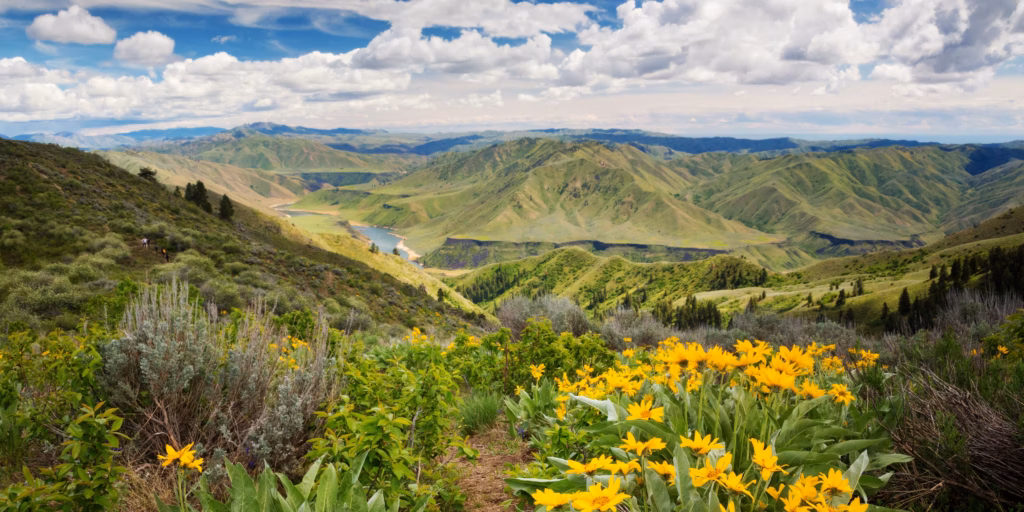 Idaho MSW Programs